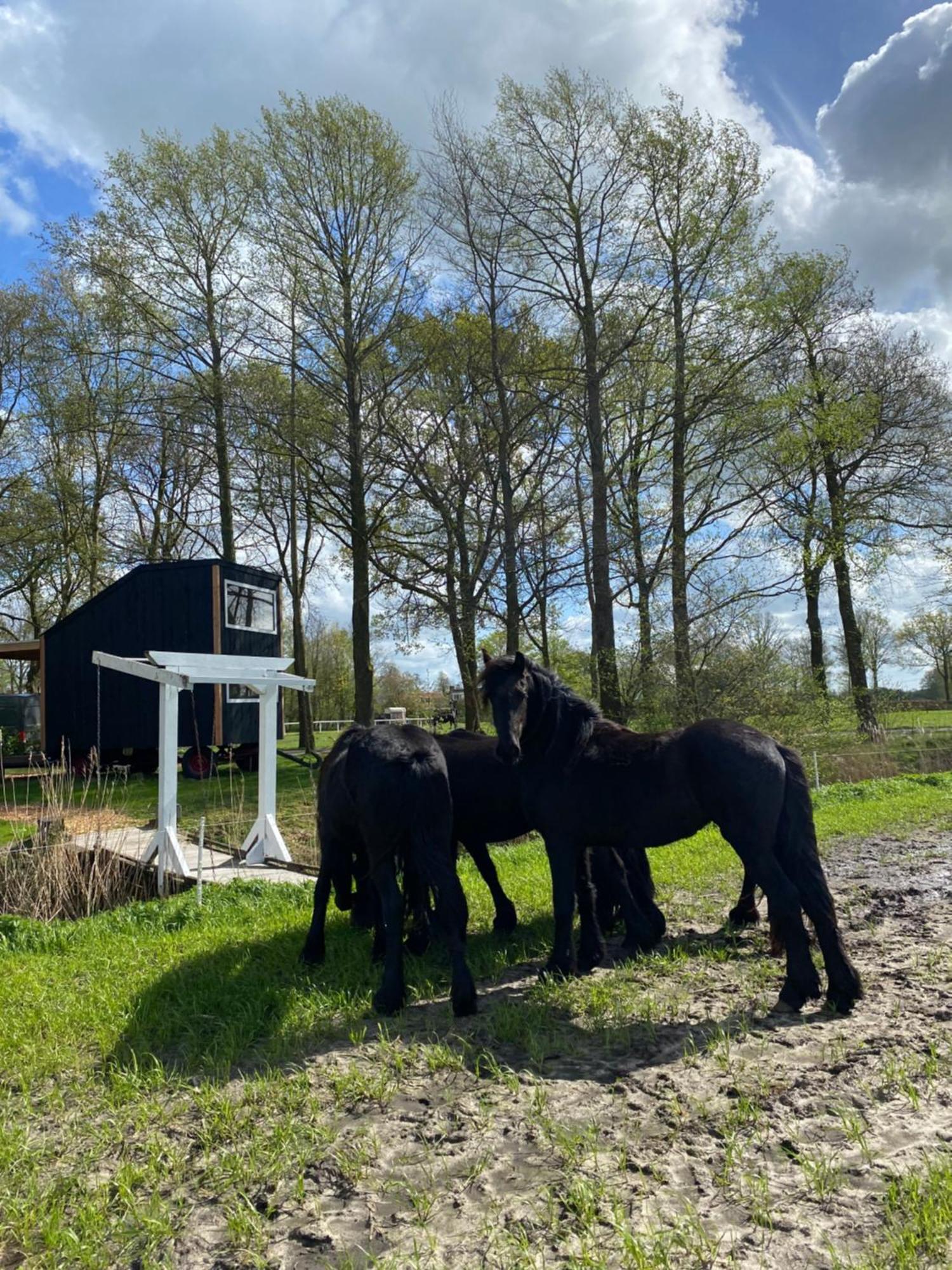 TytsjerkTiny House Smuk公寓 外观 照片